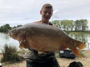 Mirror Carp