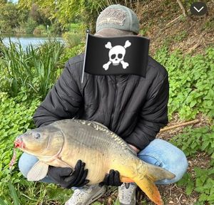 Mirror Carp