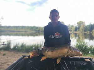 Mirror Carp