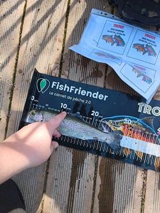 Rainbow Trout