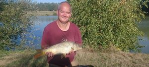 Common Carp