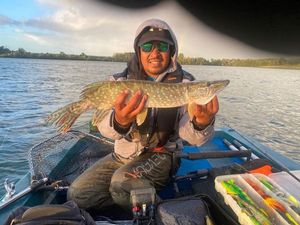 Northern Pike