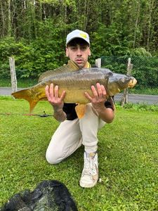 Leather Carp