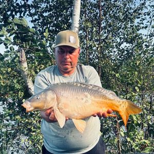 Mirror Carp