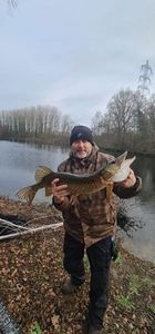 Northern Pike