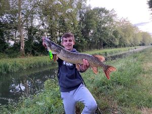 Northern Pike