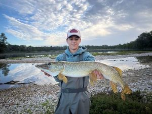 Northern Pike