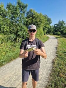 Largemouth Bass
