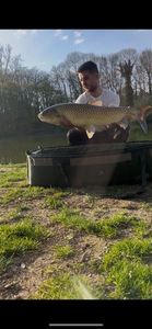 Grass Carp