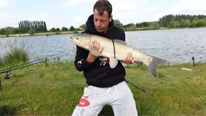 Grass Carp