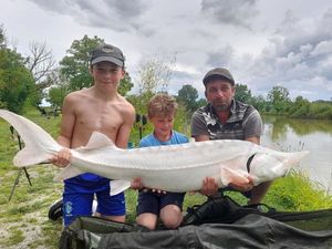 Sturgeon