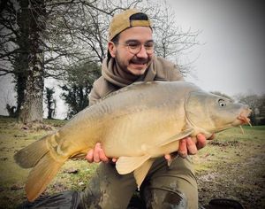 Mirror Carp