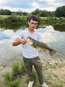 Smallmouth Bass