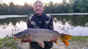 Common Carp
