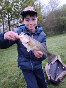 Largemouth Bass