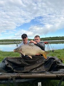 Common Carp