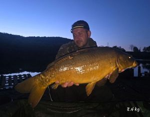 Leather Carp