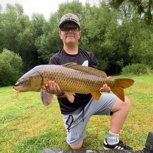 Common Carp