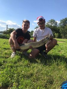 Northern Pike
