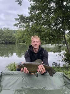 Tench