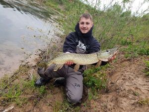 Northern Pike