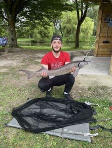 Sturgeon