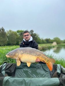 Mirror Carp