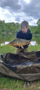 Common Carp