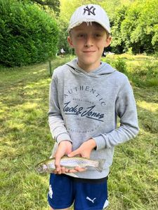 Rainbow Trout