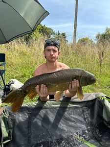 Mirror Carp