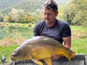 Mirror Carp