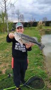 Smallmouth Bass
