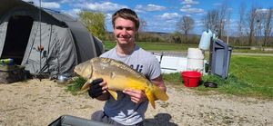 Mirror Carp