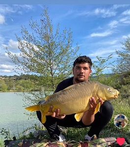 Mirror Carp