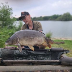 Mirror Carp