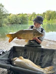 Mirror Carp