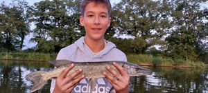 Northern Pike