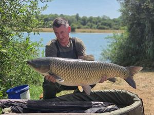 Silver Carp