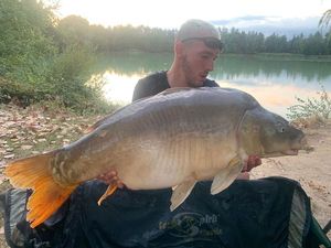 Mirror Carp