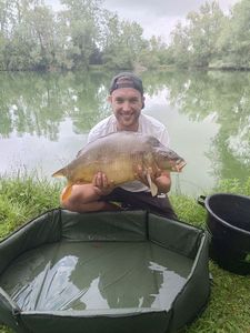 Common Carp