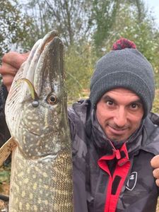 Northern Pike