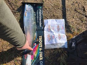 Rainbow Trout
