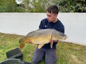 Mirror Carp