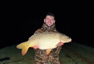 Common Carp