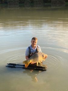Mirror Carp