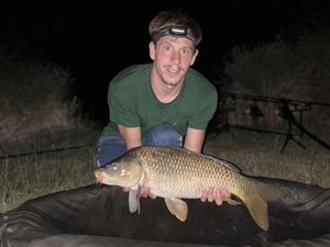 Common Carp