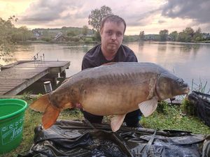 Mirror Carp