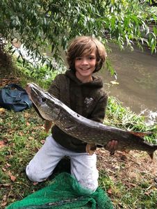 Northern Pike