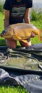 Mirror Carp