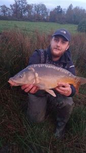 Mirror Carp